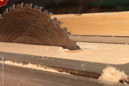 circular saw for cutting wood on a woodworking machine