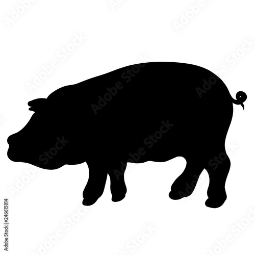 fat pig, black silhouette of animal, animal husbandry