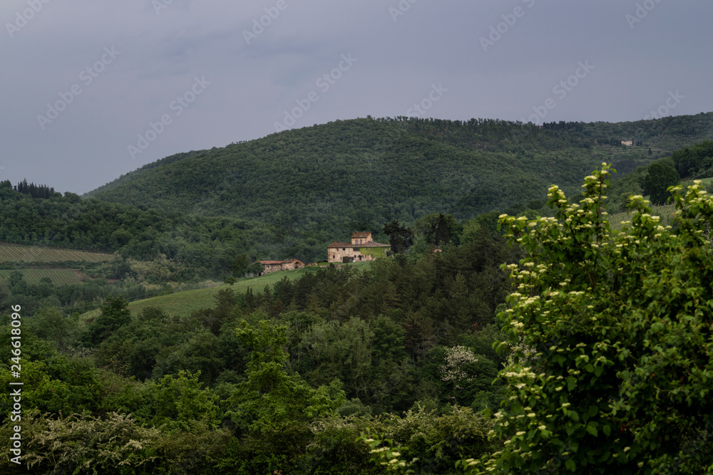 Fototapeta premium Tuscany Landscape