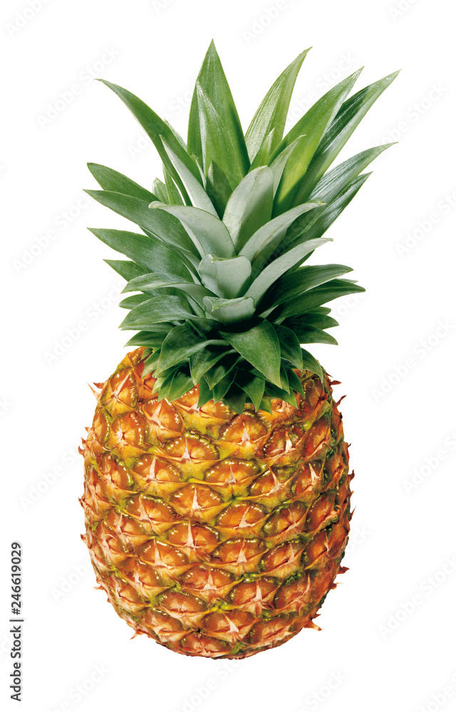 Fototapeta premium Ananas mit Blatt