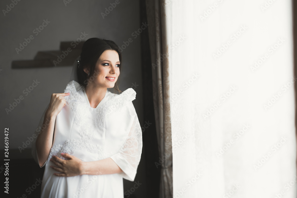 Portrait of beautiful bride with fashion veil at wedding morning Portrait of beautiful bride with fashion veil at wedding morning