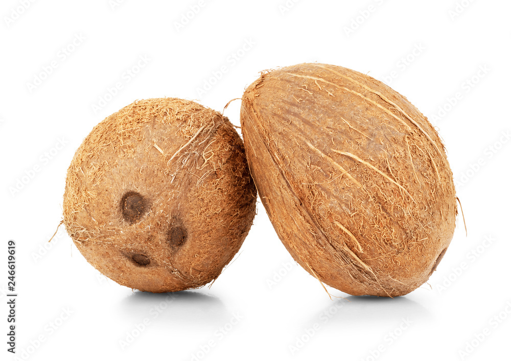 coconuts isolated on the white background coconuts isolated on the white background
