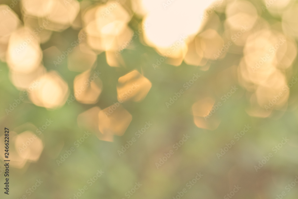 Obraz premium Natural light sunset Orange bokeh