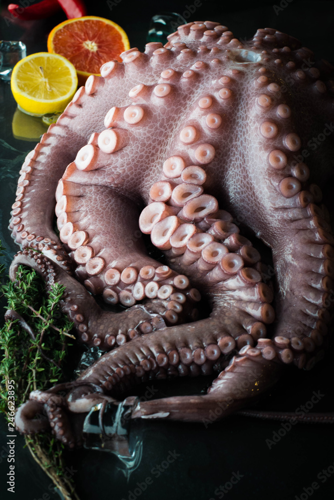 Octopus is decorated with ice cubes, lemon and herbs. Octopus is decorated with ice cubes, lemon and herbs.
