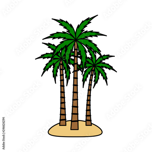 A palm tree vector set.