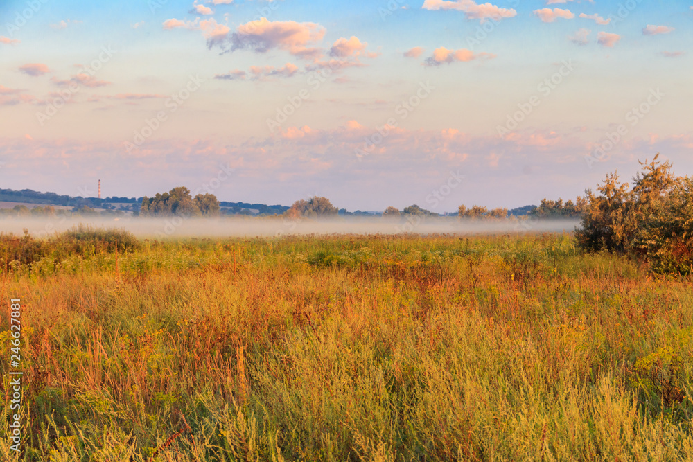 Summer landscape with green misty meadow, trees and sky. Fog on the grassland Summer landscape with green misty meadow, trees and sky. Fog on the grassland