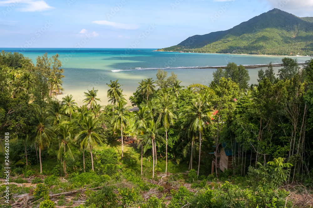 Turquoise tropical bay. Sandy beach shore in Koh Phangan, Thailand with coconut palm trees, lush green vegetation. Front part of the forrest has been cut down.