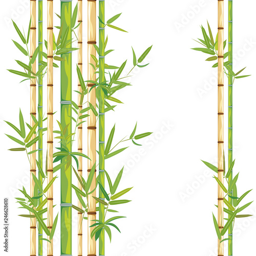 Stalks of bamboo