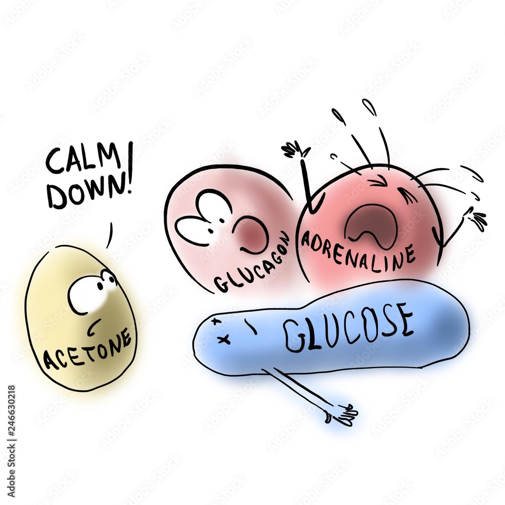 Φωτογραφία Acetone and ketotic hypoglycemia