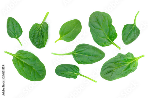Group of spinach leaves isolated on white background in close-up