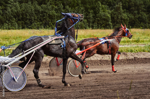 Horses run at high speed along the track of the racetrack. Competitions - horse racing.