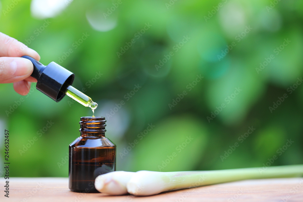 lemongrass essential oil dropping to glass bottles on natural green background, Insect repellent lemongrass essential oil dropping to glass bottles on natural green background, Insect repellent