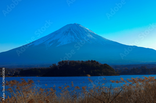 fuji and mt fuji