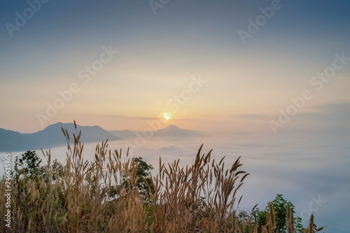 sunrise at Phu Thok, beautiful mountain view misty morning of top mountain around with sea of mist with colorful yellow sun light in the sky background, Chiang Khan District, Loei, Thailand. photo