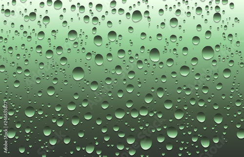 Wallpaper Mural Realistic water drops on a plain glass, vector illustration Torontodigital.ca