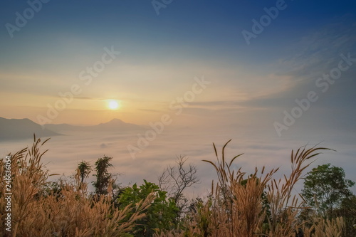 sunrise at Phu Thok  beautiful mountain view misty morning of top mountain around with sea of mist with colorful yellow sun light in the sky background  Chiang Khan District  Loei  Thailand.