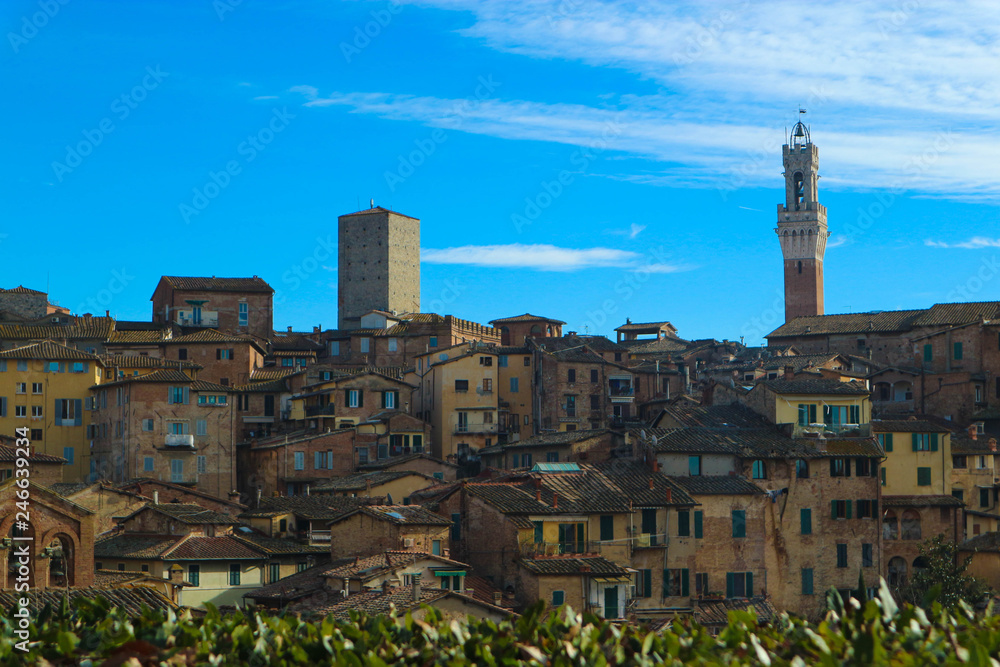 Fantastic panorama of Siena old town with Mangia tower (torre del Mangia) in winter sunny morning with bright blue sky, Tuscany, Italy