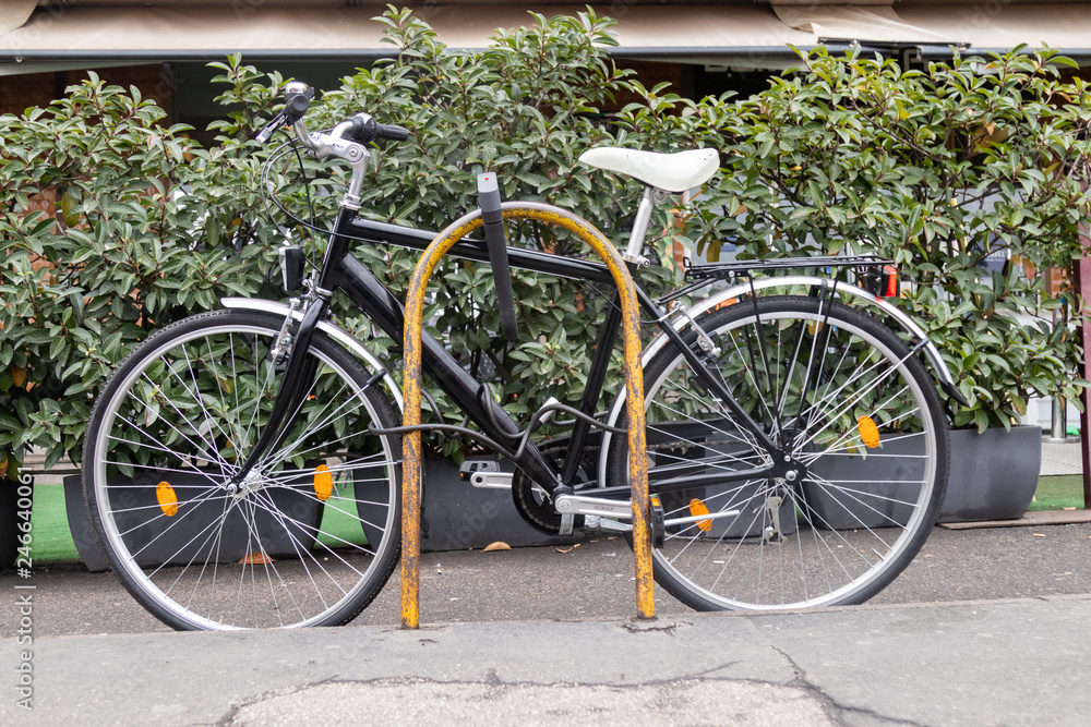 Obraz premium bicicletta legata