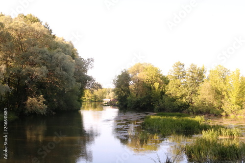 autumn in the park