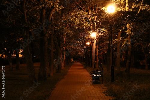 street at night