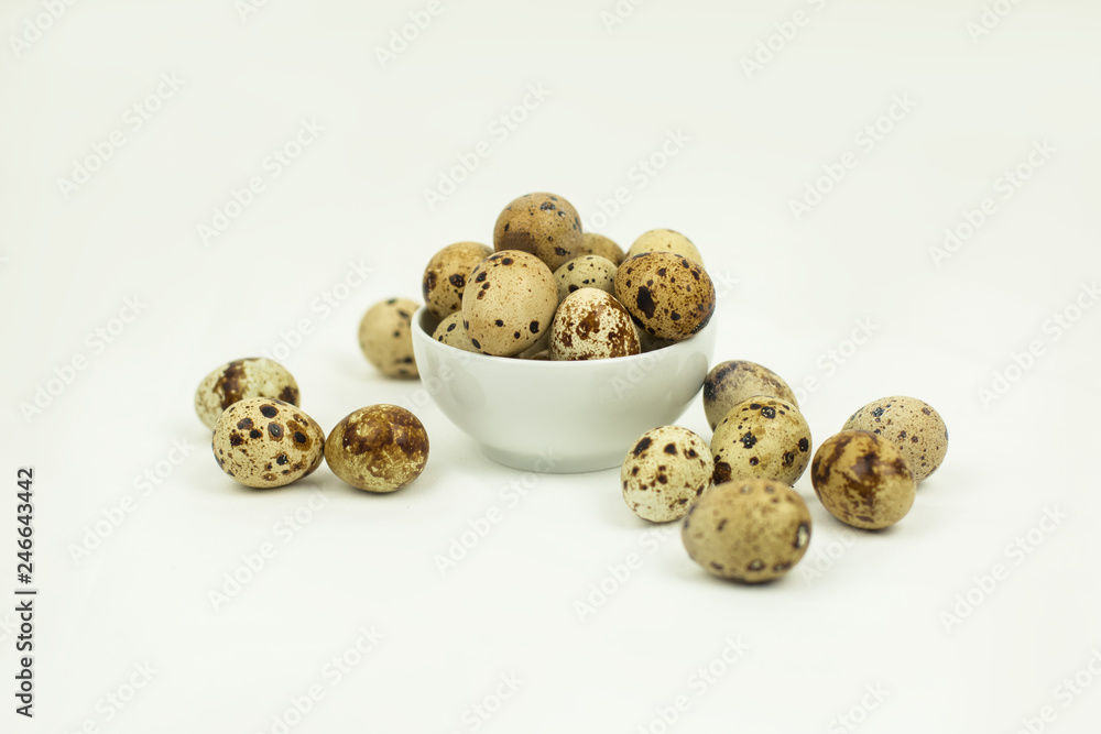 Fototapeta premium quail eggs on a light background