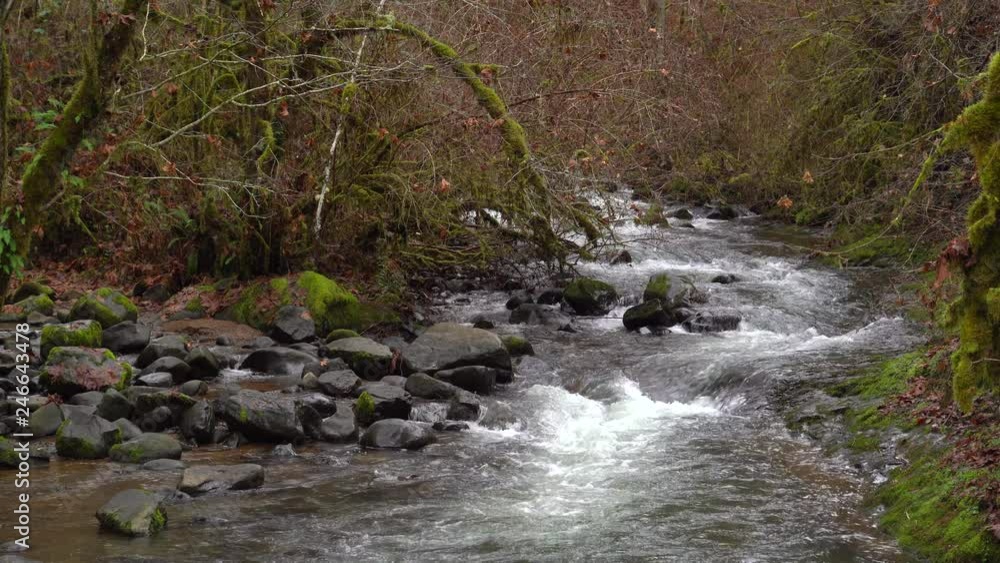 UHD 4K video of Lower Mcdowell Creek Falls at Mcdowell Creek Fall at County in Lebanon Oregon 3840x2160 Ultra High Definition UHD 4K video of Lower Mcdowell Creek Falls at Mcdowell Creek Fall at County in Lebanon Oregon 3840x2160 Ultra High Definition