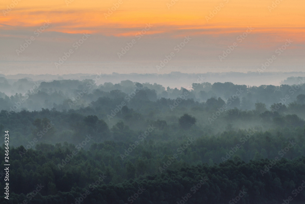 Mystical view from top on forest under haze at early morning. Mist among layers from tree silhouettes in taiga under predawn sky. Calm morning atmospheric minimalistic landscape of majestic nature. Mystical view from top on forest under haze at early morning. Mist among layers from tree silhouettes in taiga under predawn sky. Calm morning atmospheric minimalistic landscape of majestic nature.