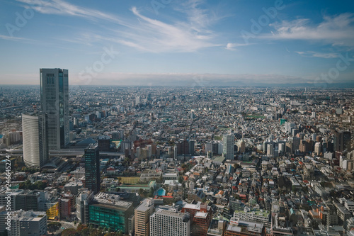 Bird's eye beautiful city view from a Tokio skyscraper. Japan. © Irina Polonina