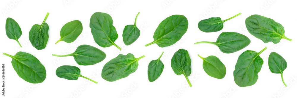 Group of spinach leaves isolated on white background in close-up (high details) Group of spinach leaves isolated on white background in close-up (high details)