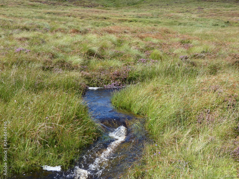 Norwegen - Bachlauf Norwegen - Bachlauf