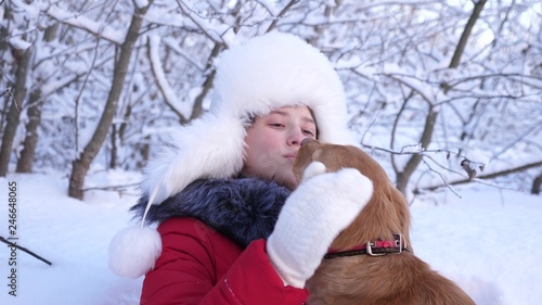 Beautiful girl smiles, caresses her beloved dog in winter in park. dog licks girl's face. girl with hunting dog walks in winter in forest. dog kisses hostess.