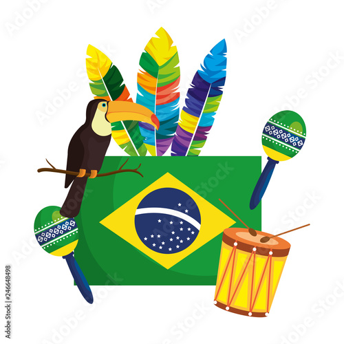 brazilian flag with culture icons