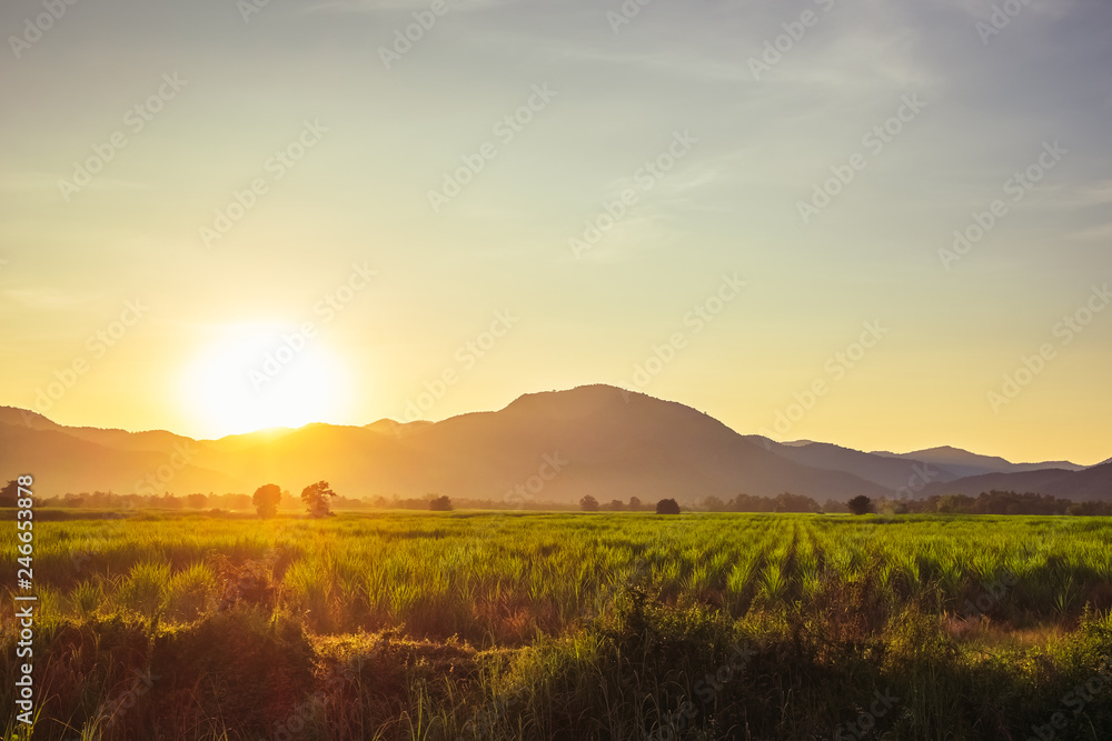 Obraz premium Sunset at the Farm