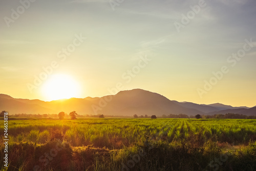 Sunset at the Farm