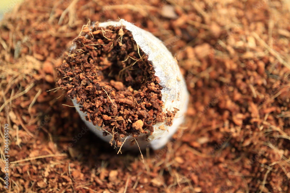 Image of coconut mulch. Coconut substrate. Stock Photo Adobe Stock