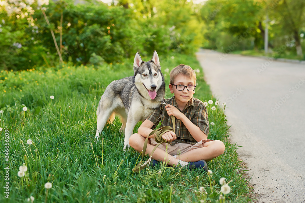boy with dog husky walks on nature in summer boy with dog husky walks on nature in summer