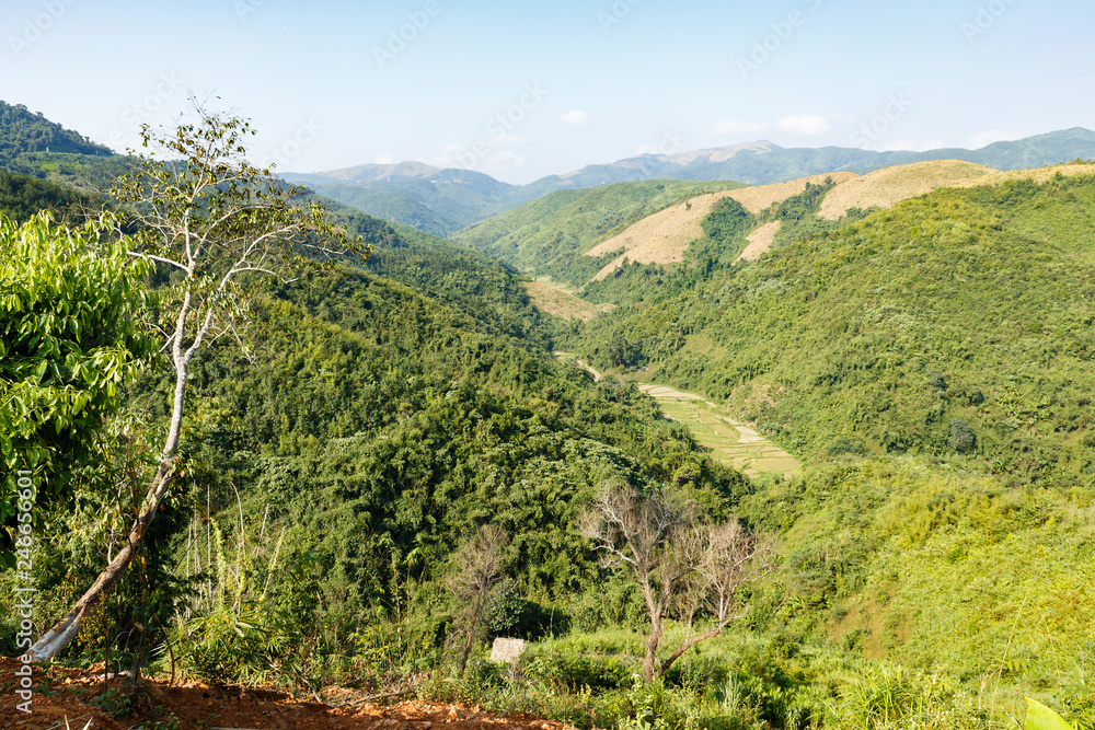 jungle on the mountainside, beautiful landscape, Laos