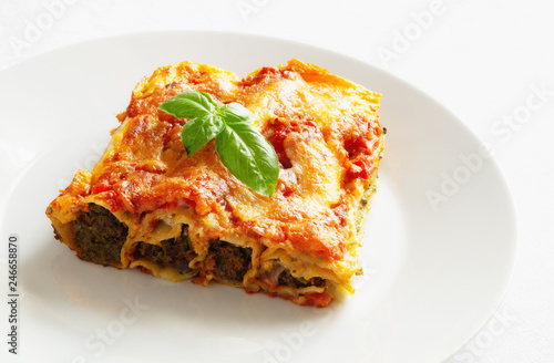 mozzarella, parmesan cheese, and tomato sauce on cannelloni piece stuffed with beef and spinach decorated with basil 