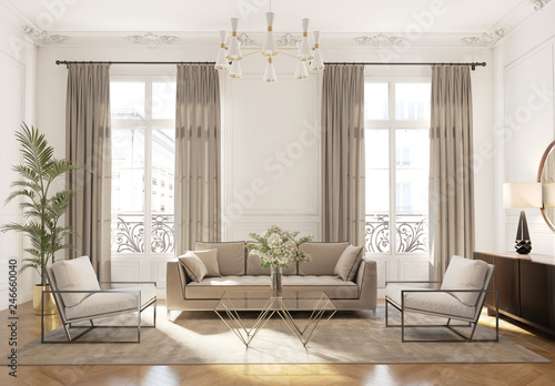 Elegant style Parisian interior, living room