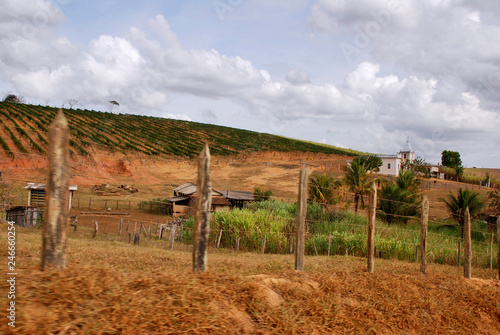 Community farm. Region of the Quilombola Community photographed in Presidente Kennedy, Espí­rito Santo - Southeast of Brazil. 