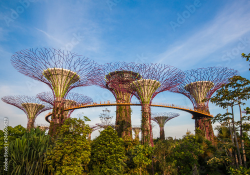 Singapore - a small and crowded city/state of Southeast Asia, famous for its modern architecture. Here in the picture the colorful Gardens by the Bay