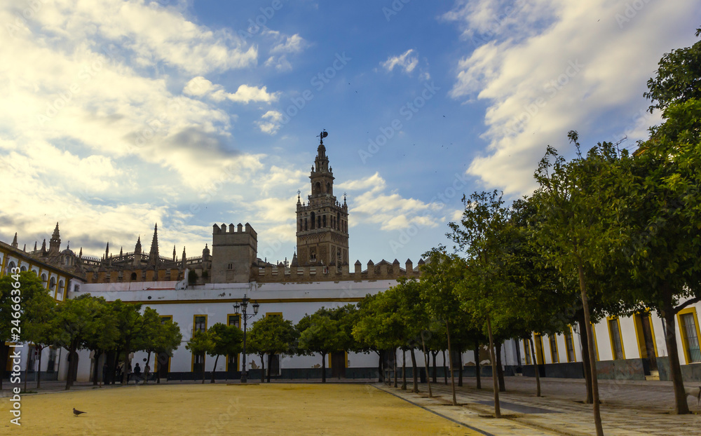 View of the Giralda Bell Tower From the Plaza Del Patio de Banderas with orange trees - Seville, Andalusia, Spain