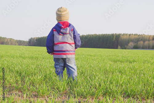 one year old boy farmer standing in the field with young wheat © Ivan