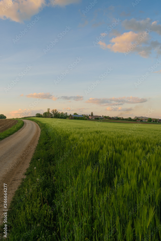 road in the field road in the field