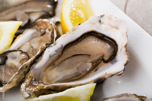 Opened raw oysters with lemon