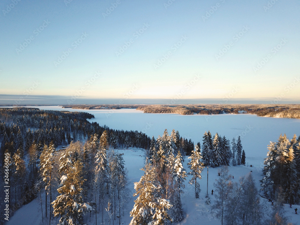 winter landscape with frozen lake and trees in finland