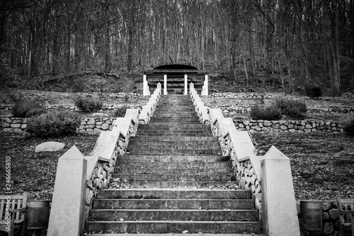 steps