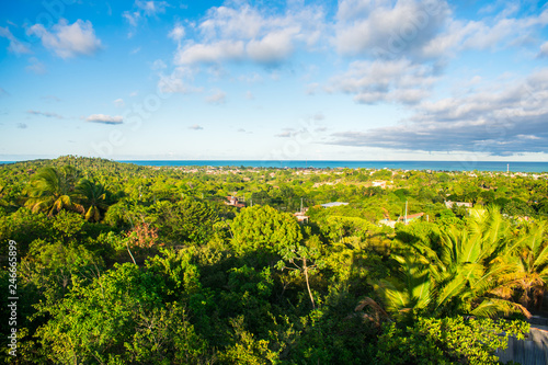A view of Itamaraca island from above - atlantic forest and atlantic ocean in the background (Ilha de Itamaraca, Brazil)
