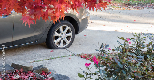 Fotografija Flat tire on a fall day