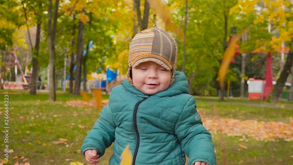 baby boy taking his first steps in the park. autumn day. baby boy taking his first steps in the park. autumn day.